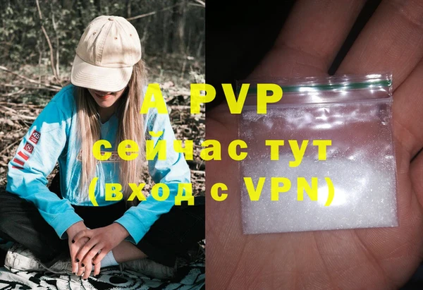 PSILOCYBIN Заволжск