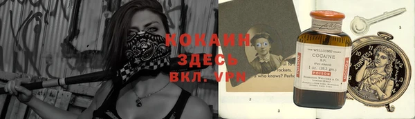 дмт Заводоуковск