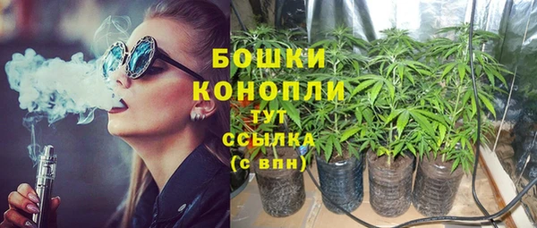PSILOCYBIN Заволжск