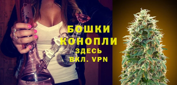 PSILOCYBIN Заволжск