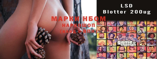 дмт Заводоуковск