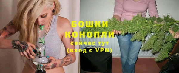 дмт Заводоуковск
