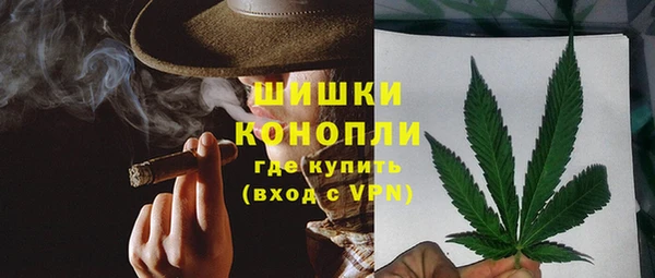PSILOCYBIN Заволжск