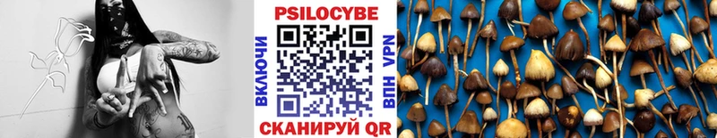 Галлюциногенные грибы мицелий  Купить  Дятьково 